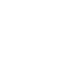 Brahmion Spacetech